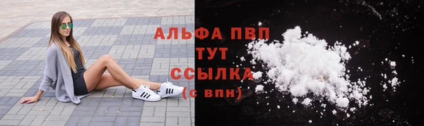 дмт Нея