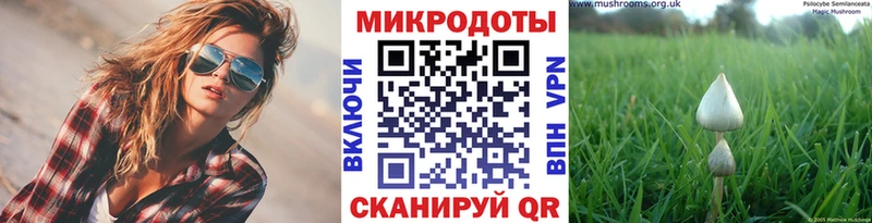 mega вход  Яблоновский  Псилоцибиновые грибы Cubensis 